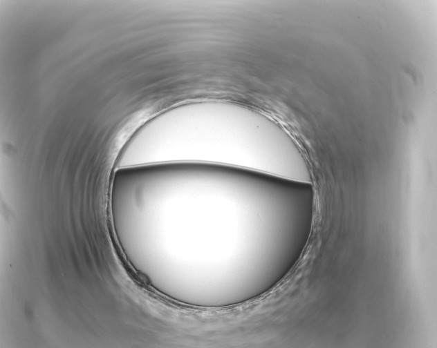 X0000091240003200708091139