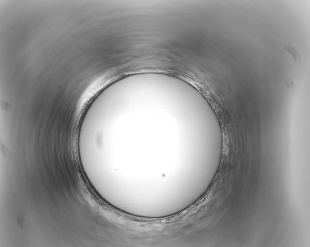 X0000091240004200708091139