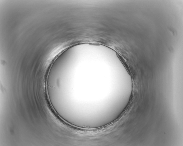 X0000091240005200708091139