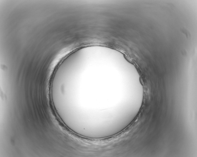 X0000091240006200708091139