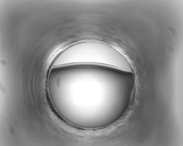 X0000091240007200708091139
