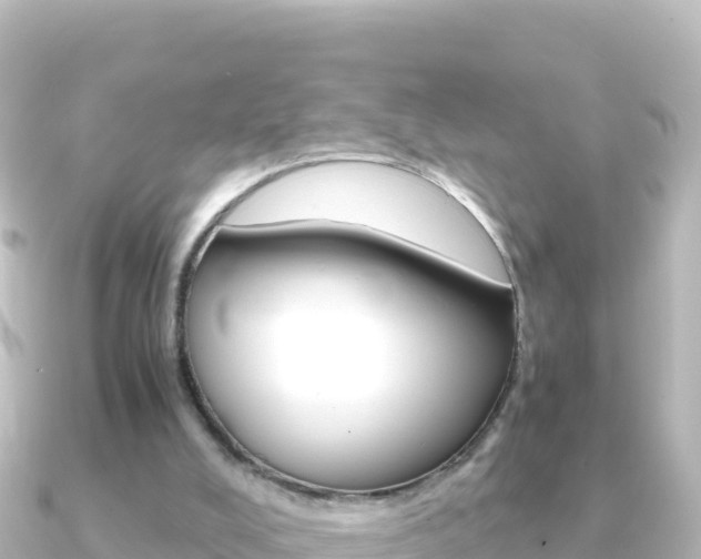 X0000091240008200708091139
