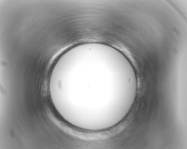 X0000091240012200708091139