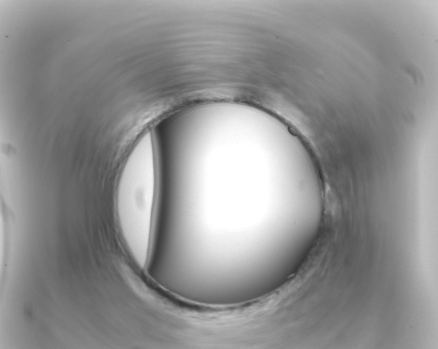 X0000091240013200708091139
