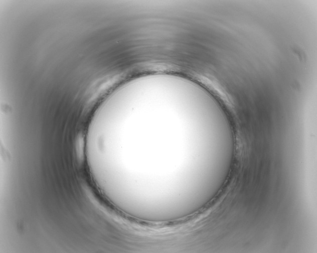 X0000091240014200708091139