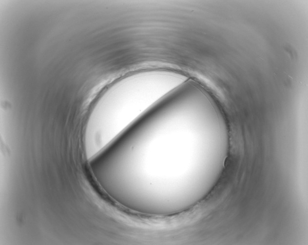 X0000091240015200708091139