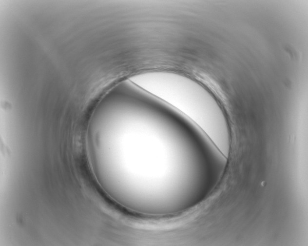 X0000091240017200708091139