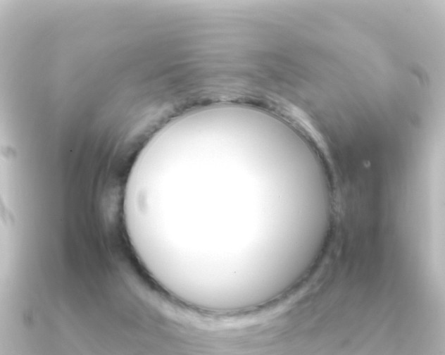 X0000091240018200708091139