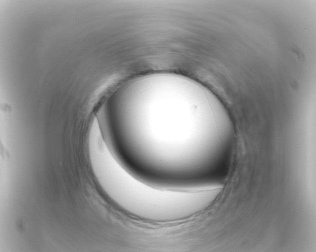 X0000091240019200708091139