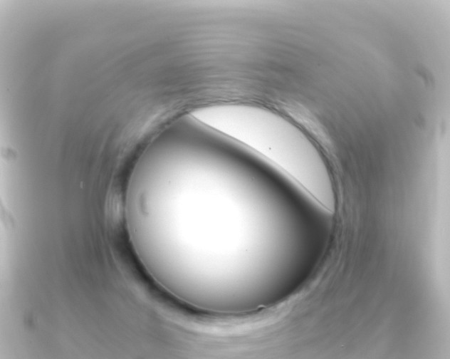 X0000091240021200708091139