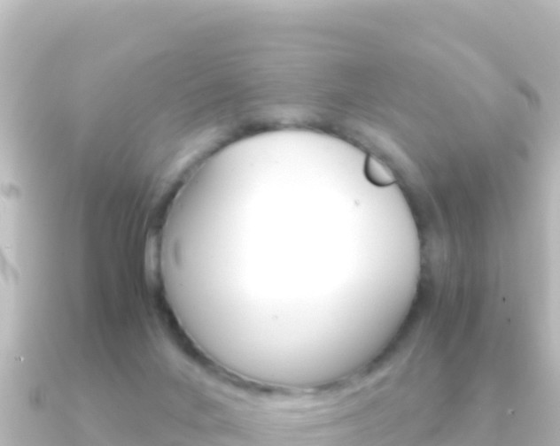 X0000091240024200708091139