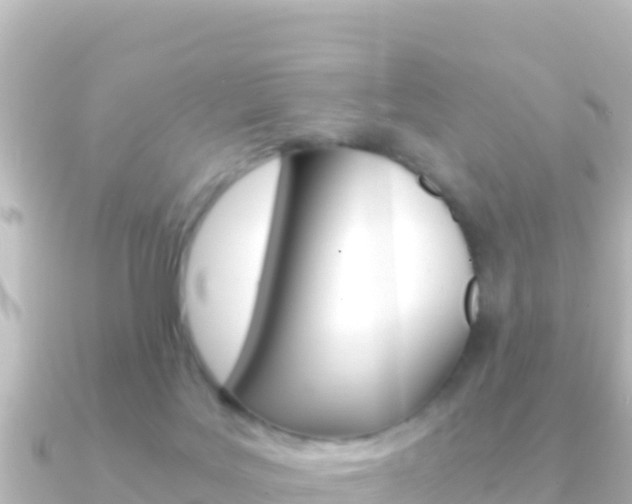 X0000091240027200708091139