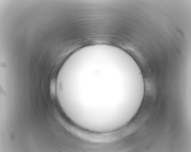 X0000091240028200708091139