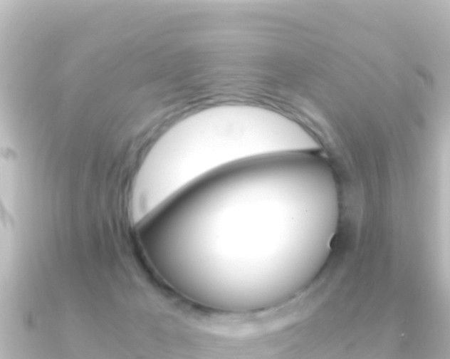 X0000091240029200708091139