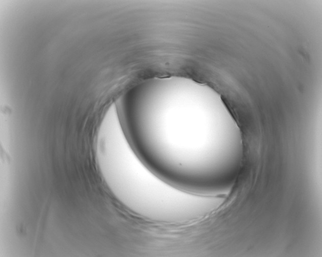 X0000091240033200708091139