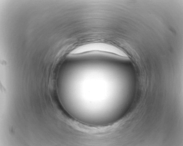 X0000091240035200708091139