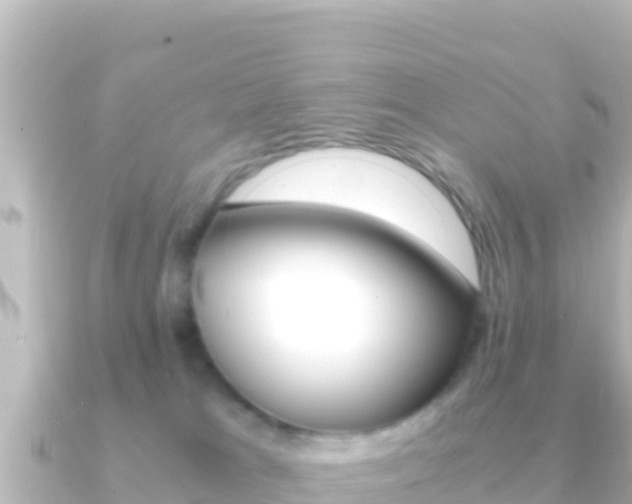 X0000091240037200708091139