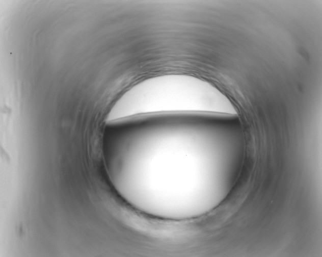 X0000091240044200708091139
