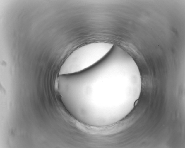 X0000091240046200708091139