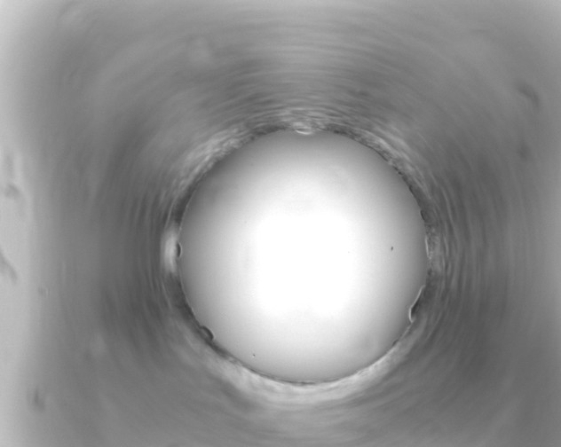 X0000091240047200708091139
