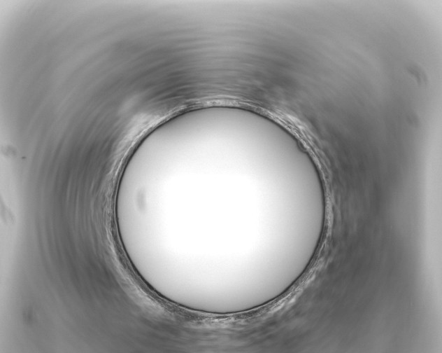 X0000091240049200708091138