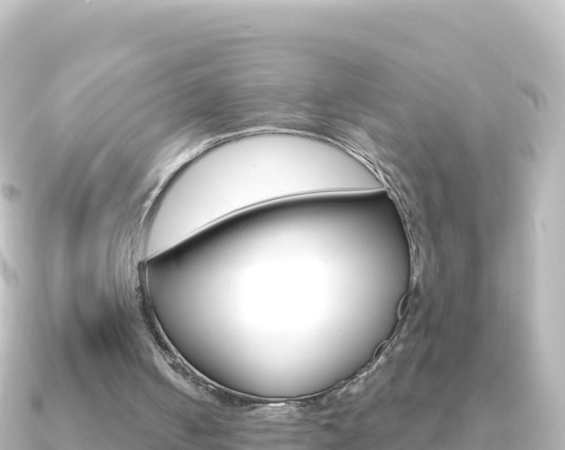X0000091240050200708091138
