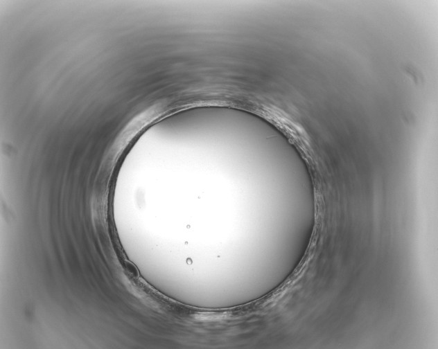 X0000091240051200708091138