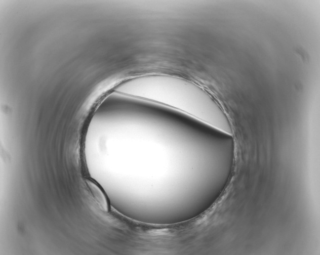 X0000091240054200708091138