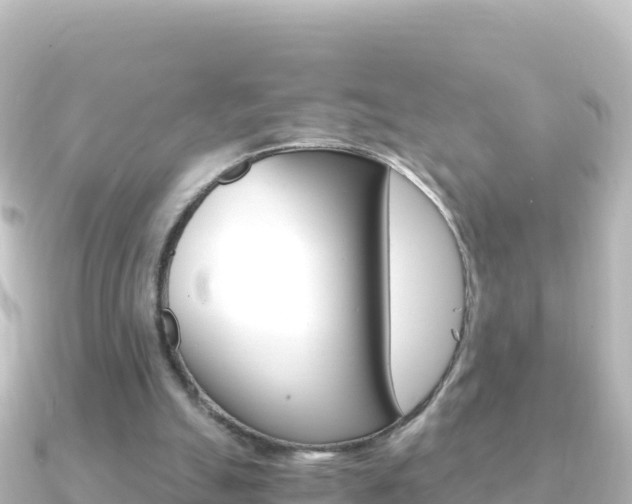 X0000091240055200708091138