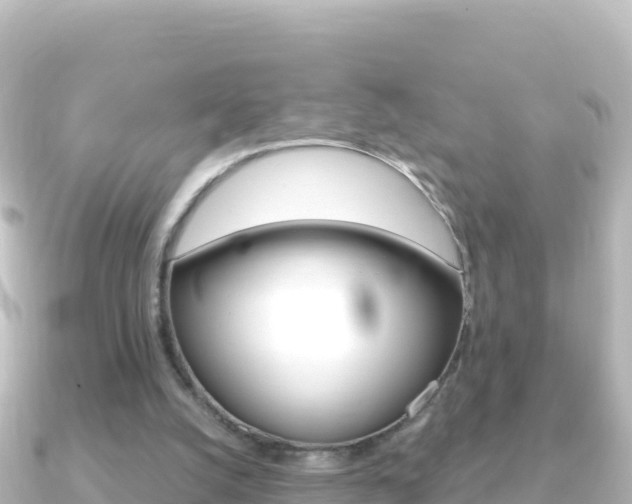 X0000091240056200708091138