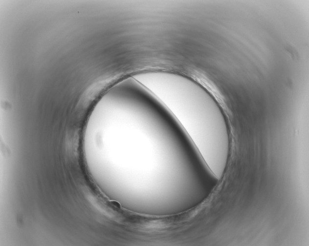 X0000091240058200708091138
