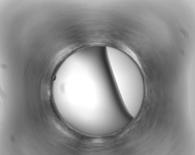 X0000091240059200708091138