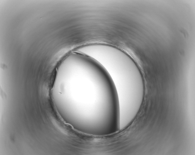 X0000091240060200708091138