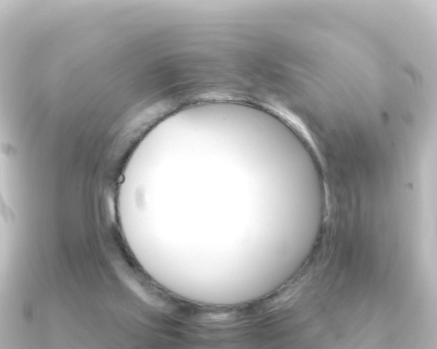 X0000091240061200708091138