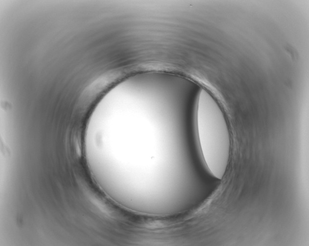 X0000091240062200708091138
