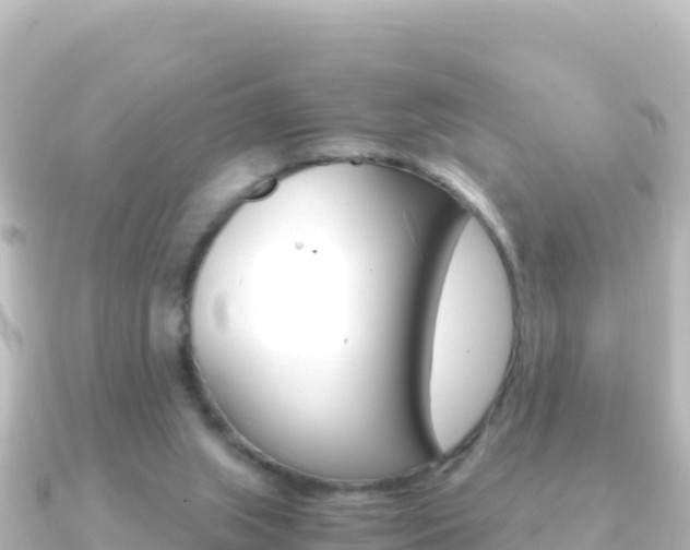 X0000091240063200708091138