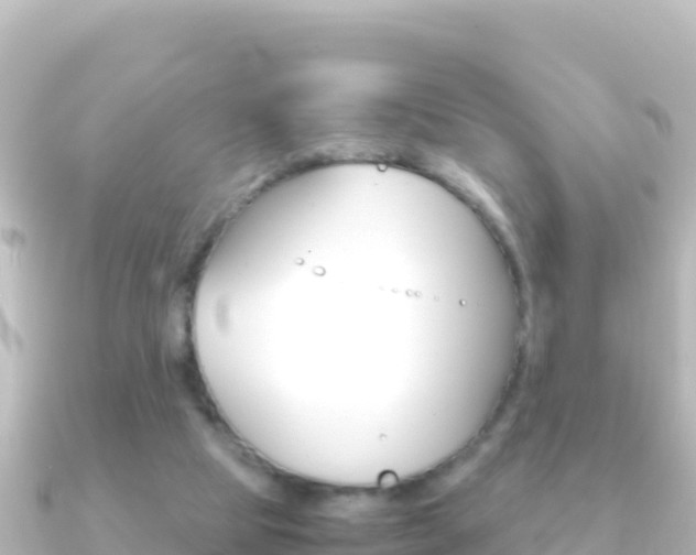 X0000091240065200708091138