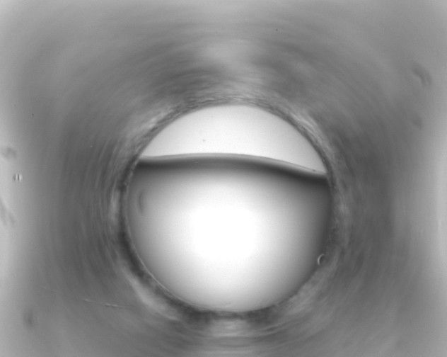 X0000091240066200708091138