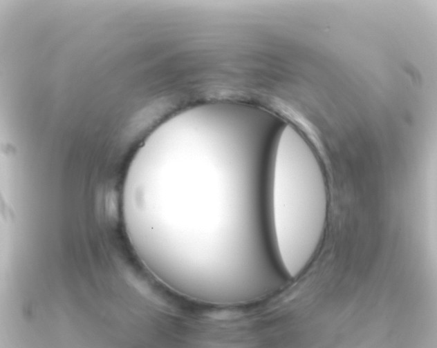 X0000091240067200708091138