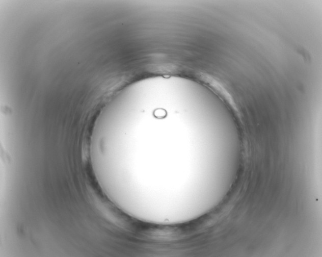 X0000091240069200708091138