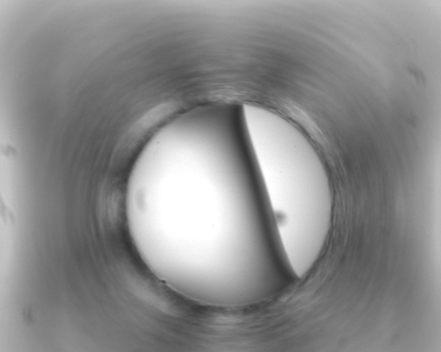 X0000091240071200708091138