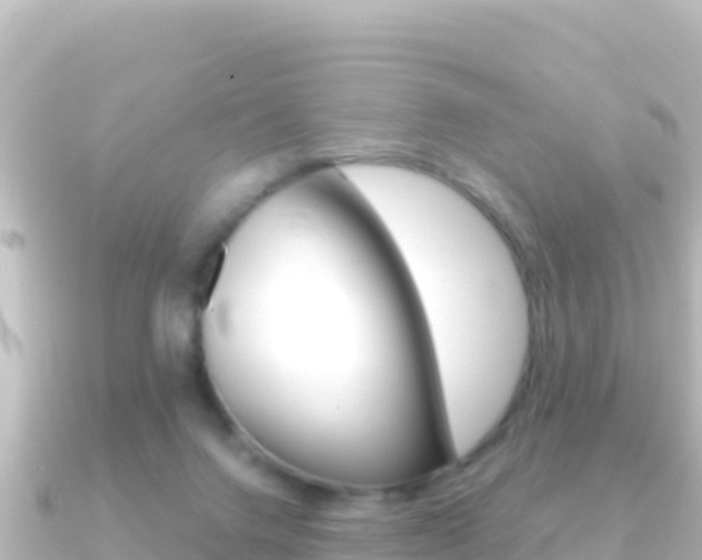 X0000091240072200708091138
