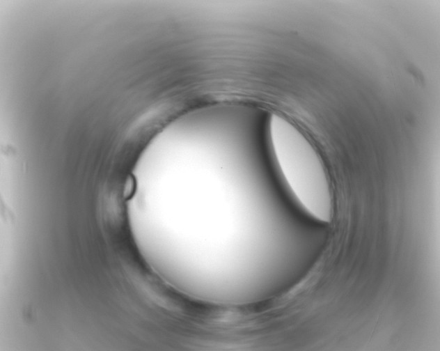 X0000091240074200708091138
