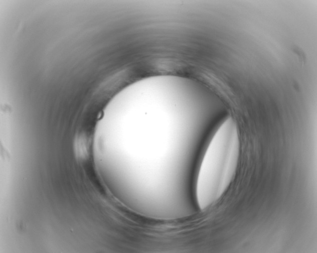 X0000091240075200708091138