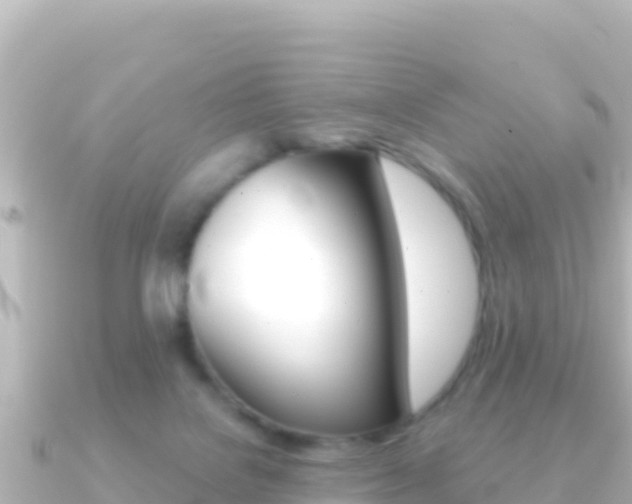 X0000091240076200708091138