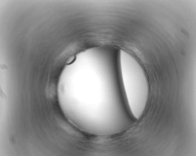 X0000091240077200708091138