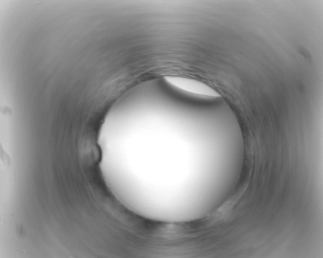 X0000091240082200708091138