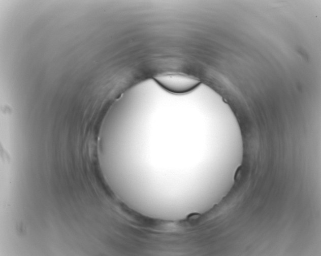 X0000091240083200708091138