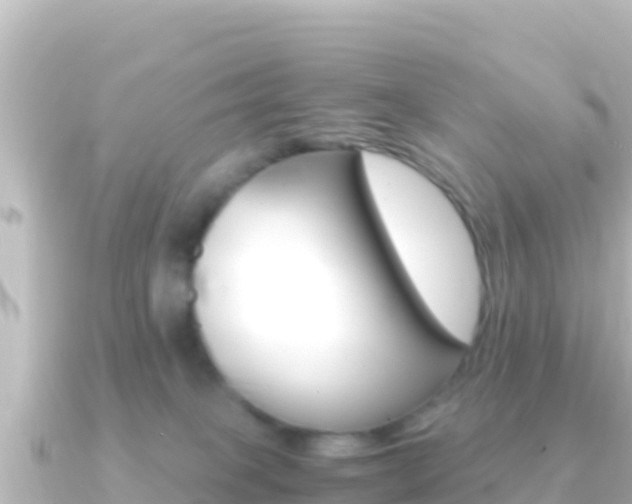 X0000091240085200708091138