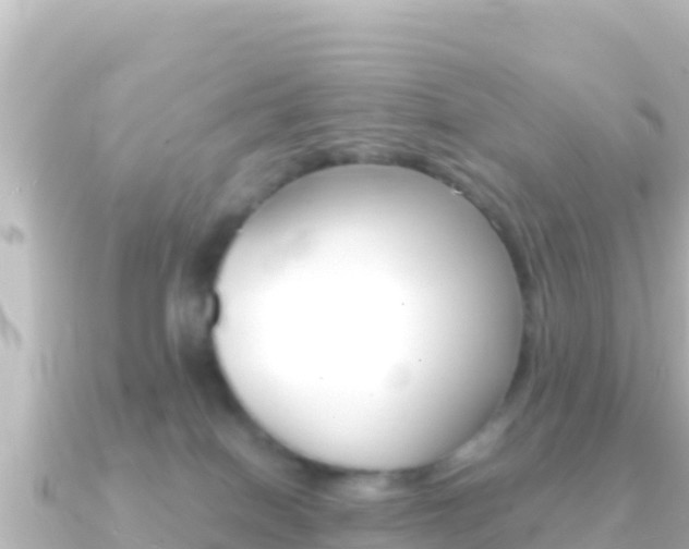 X0000091240086200708091138